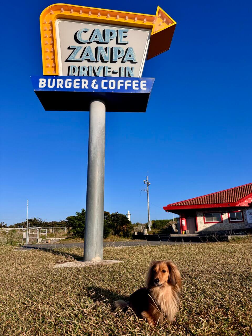 【沖縄・犬同伴OK】Cape Zanpa Drive-In｜沖縄・読谷村で、愛犬と海を眺めながらハンバーガーを楽しめるドライブインカフェ