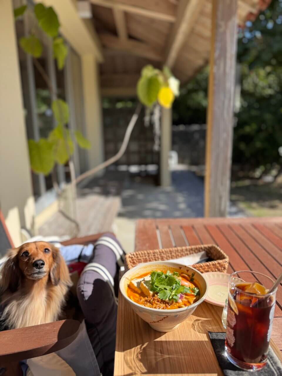 【沖縄県・犬同伴OK】みやんち STUDIO＆COFFEE｜愛犬と庭を眺めながら食事を楽しめるテラス席のある音楽家プロデュースカフェ