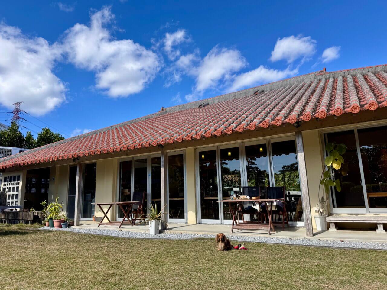 【沖縄県・犬同伴OK】みやんち STUDIO＆COFFEE｜愛犬と庭を眺めながら食事を楽しめるテラス席のある音楽家プロデュースカフェ