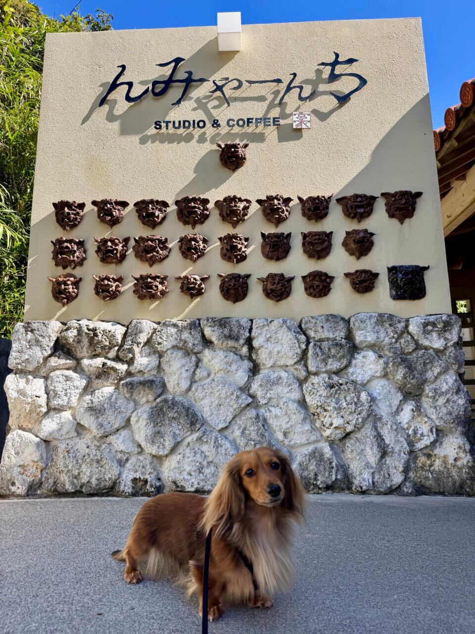 【沖縄県・犬同伴OK】みやんち STUDIO＆COFFEE｜愛犬と庭を眺めながら食事を楽しめるテラス席のある音楽家プロデュースカフェ