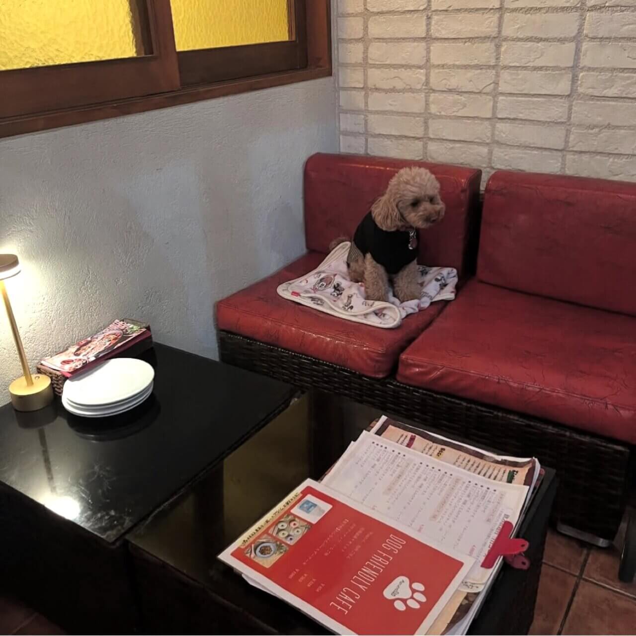 【千葉県・犬同伴OK】スパニッシュイタリアン Azzurro520 柏店|柏市のテラス席で愛犬と楽しめる、おしゃれなスパニッシュイタリアンダイニングバー