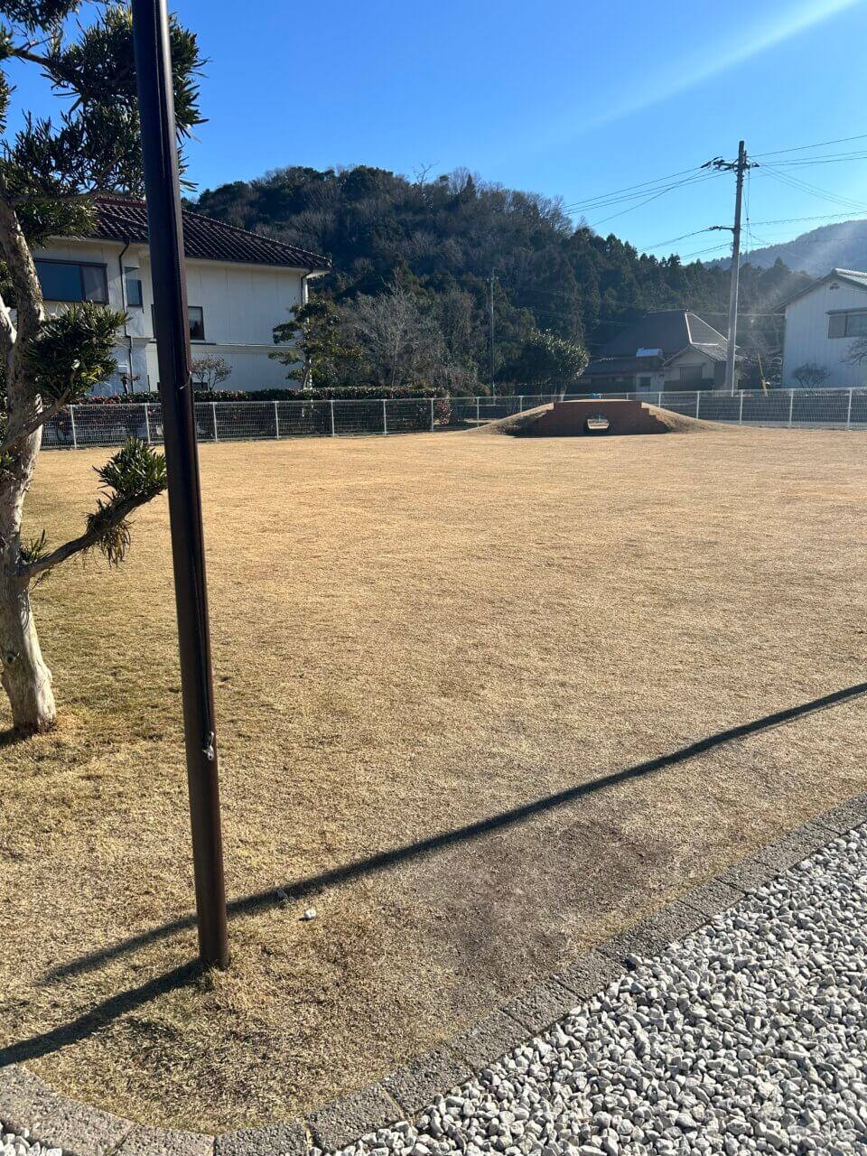 【徳島県・犬同伴OK】百々(ドド)｜古民家リノベカフェ＆ドッグラン、愛犬とゆったり過ごせるスポット