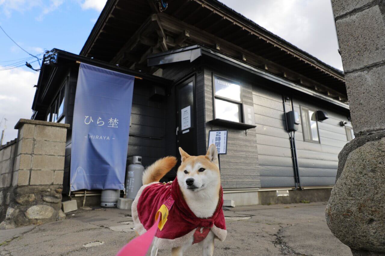 【岩手県・犬同伴OK】ひら埜｜岩手・小岩井農場で、愛犬と楽しめる東北最大級の冬のイルミネーションイベント
