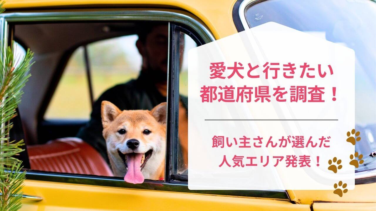 愛犬と行きたい都道府県を飼い主さんに聞きました！ランキングを発表します