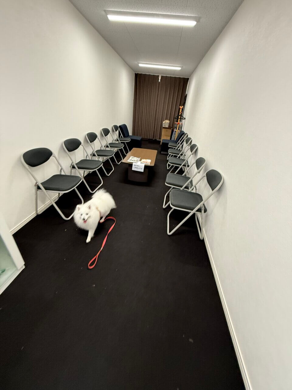 【島根県・犬同伴OK】ペットメモリアル出雲のいずもわんわん広場｜愛するペットとの最後の時間をゆったり過ごせるセレモニー施設