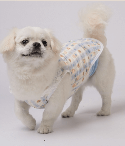 甘え上手な愛犬の魅力を紹介する様子