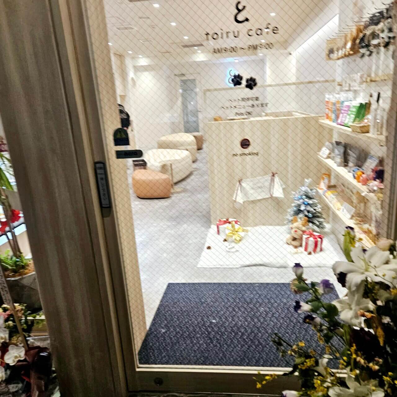 【大阪府・犬同伴OK】toiru cafe｜心斎橋で、愛犬と犬用メニューや可愛いソフトクリームを楽しめるペット同伴カフェ