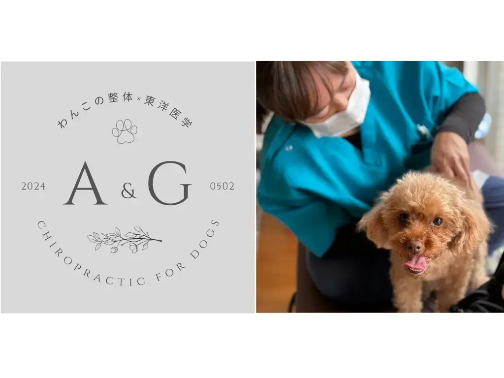 「目指せ、成人式！」をスローガンに掲げる〈わんこの整体 × 東洋医学 A&G〉が出展します。

愛犬が年齢を重ねても自分の足で元気に歩き続けられることを目標に、身体のバランスを整えるコンディショニング体験を提供します。