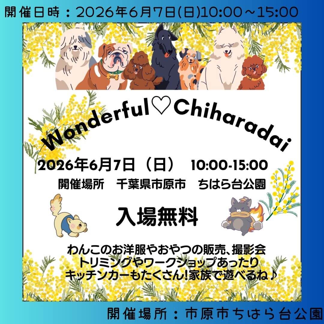 わんだふるちはらだい