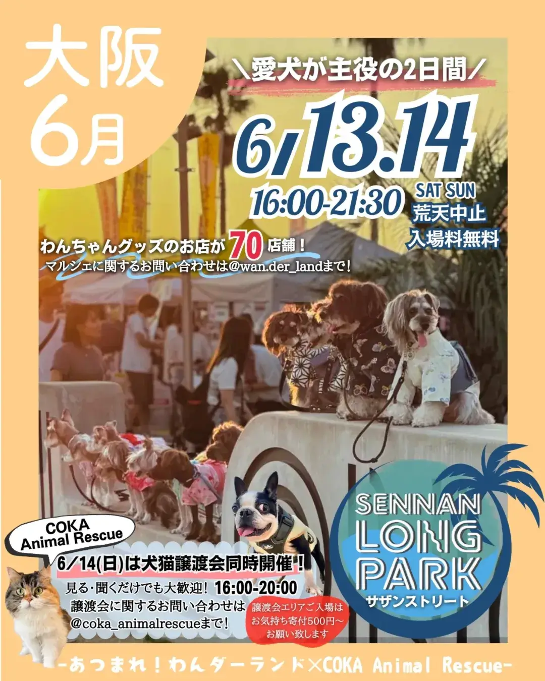 初夏のわんダーランド
