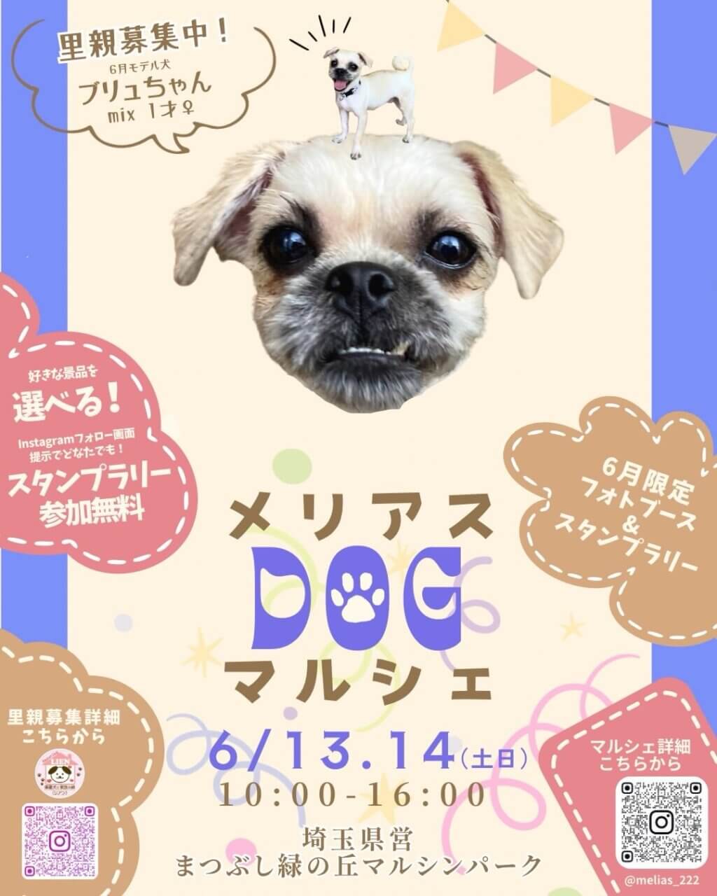メリアスdogマルシェ