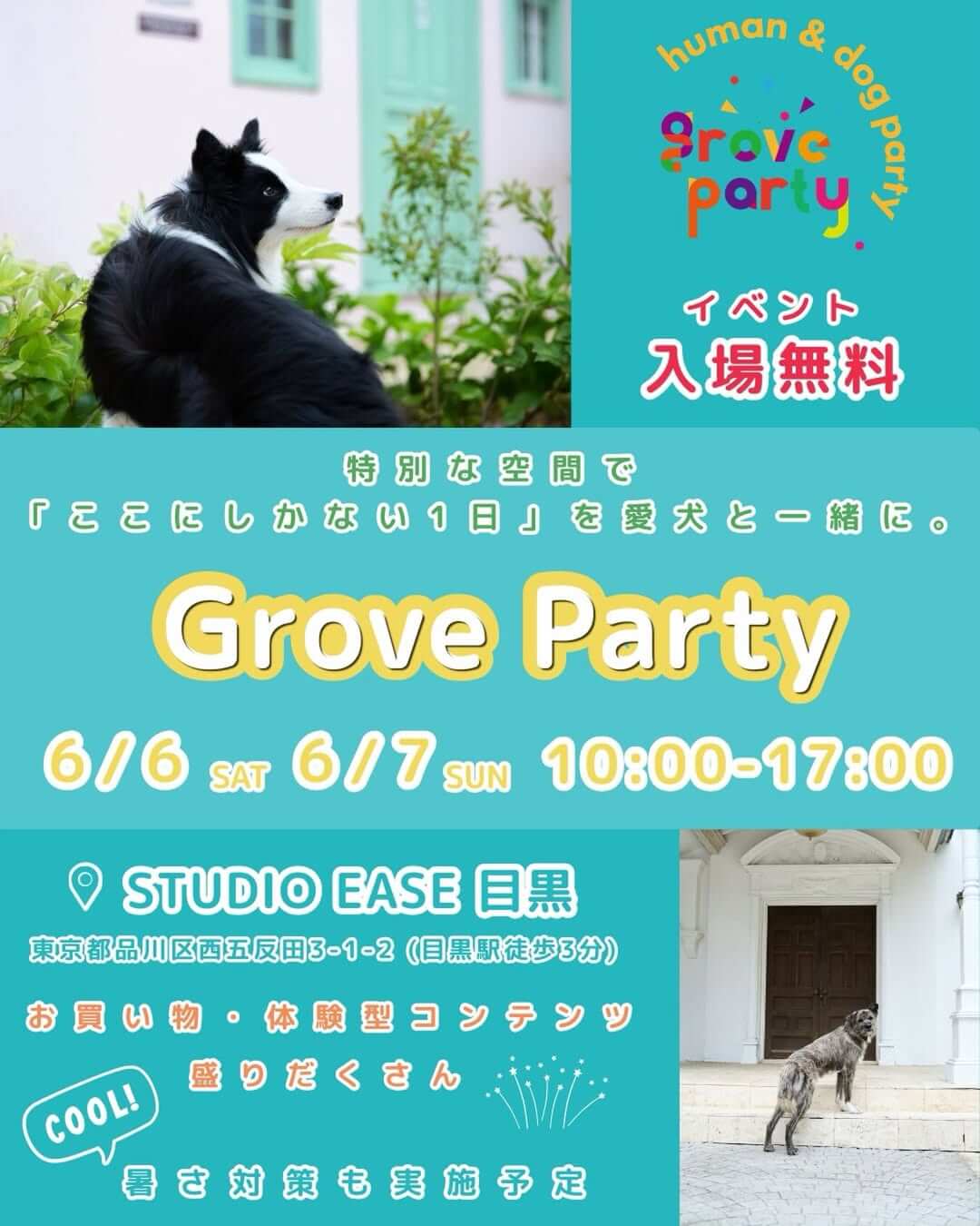 Grove Party