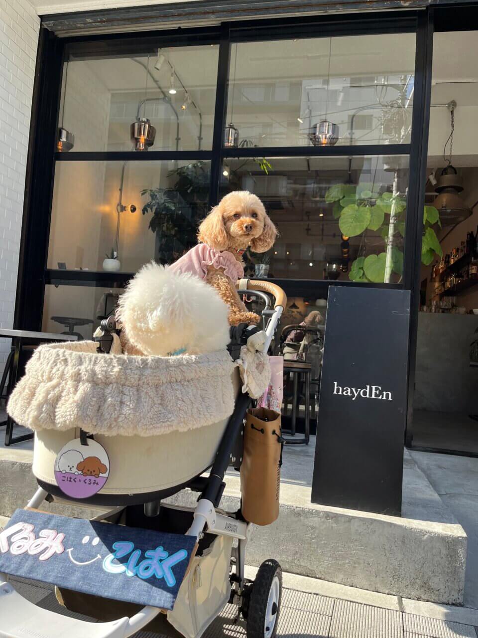 【東京都・犬同伴OK】haydEn|店内で愛犬と一緒に食事やカフェタイムを楽しめるスタイリッシュなダイニング
