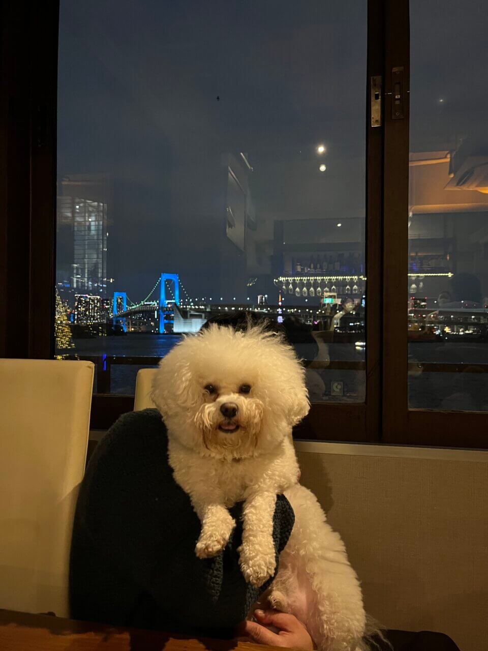 【東京都・犬同伴OK】Blue Table Odaiba｜東京湾の景色を眺めながら店内で愛犬と一緒に食事を楽しめるお台場のダイニングレストラン
