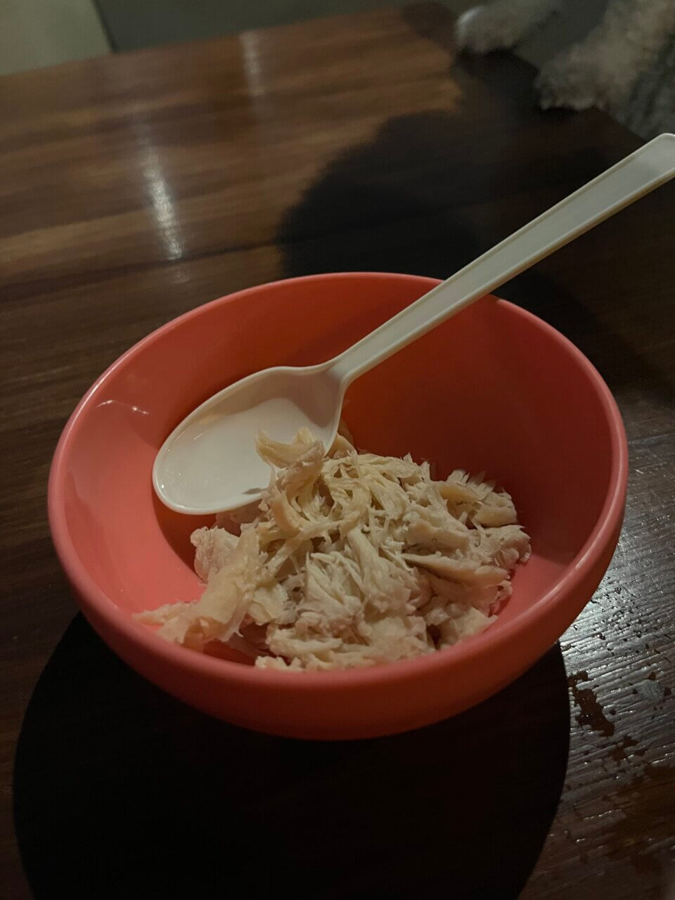 【東京都・犬同伴OK】Blue Table Odaiba｜東京湾の景色を眺めながら店内で愛犬と一緒に食事を楽しめるお台場のダイニングレストラン