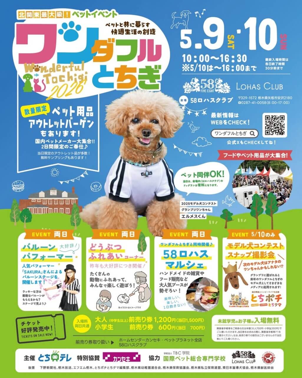 【栃木】ワンダフルとちぎ2026