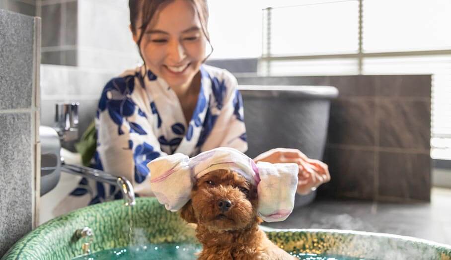 大江戸温泉物語わんわんリゾート 那須塩原（栃木県）