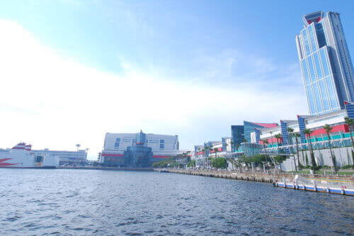 【大阪市】シーサイド コスモ (コスモスクエア海浜緑地)