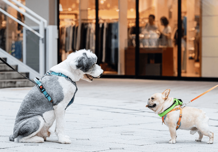 レイクタウンアウトレット［越谷市］