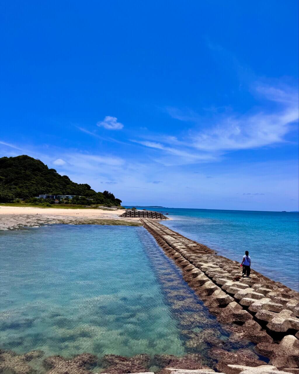 【沖縄県・犬同伴OK】丸吉食品｜愛犬と家庭的な雰囲気の中で、揚げたてのもずく料理を楽しめる
