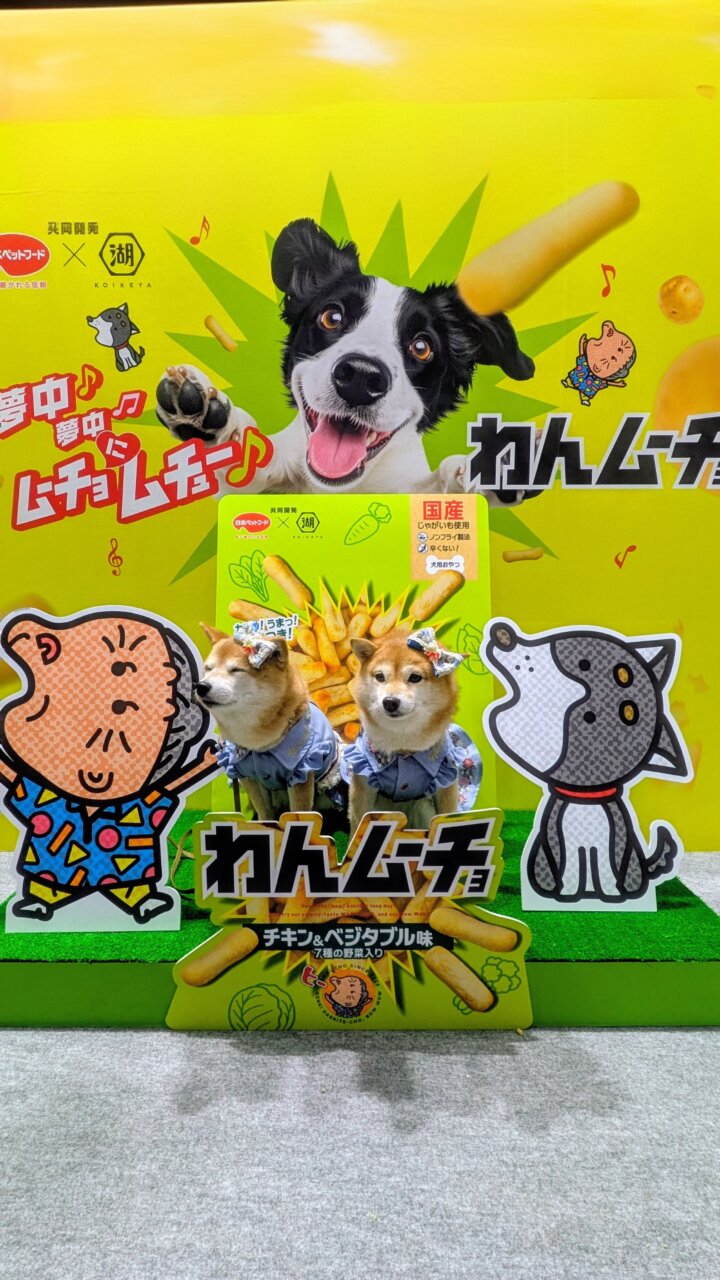 【東京都・犬同伴OK】インターペット東京｜日本最大級のペットイベントで、愛犬と一緒に楽しめる商品やサービスが集まる場所