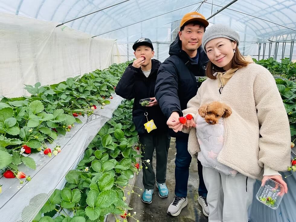 犬と行けるいちご狩りスポット。小山ファーム（千葉県）
