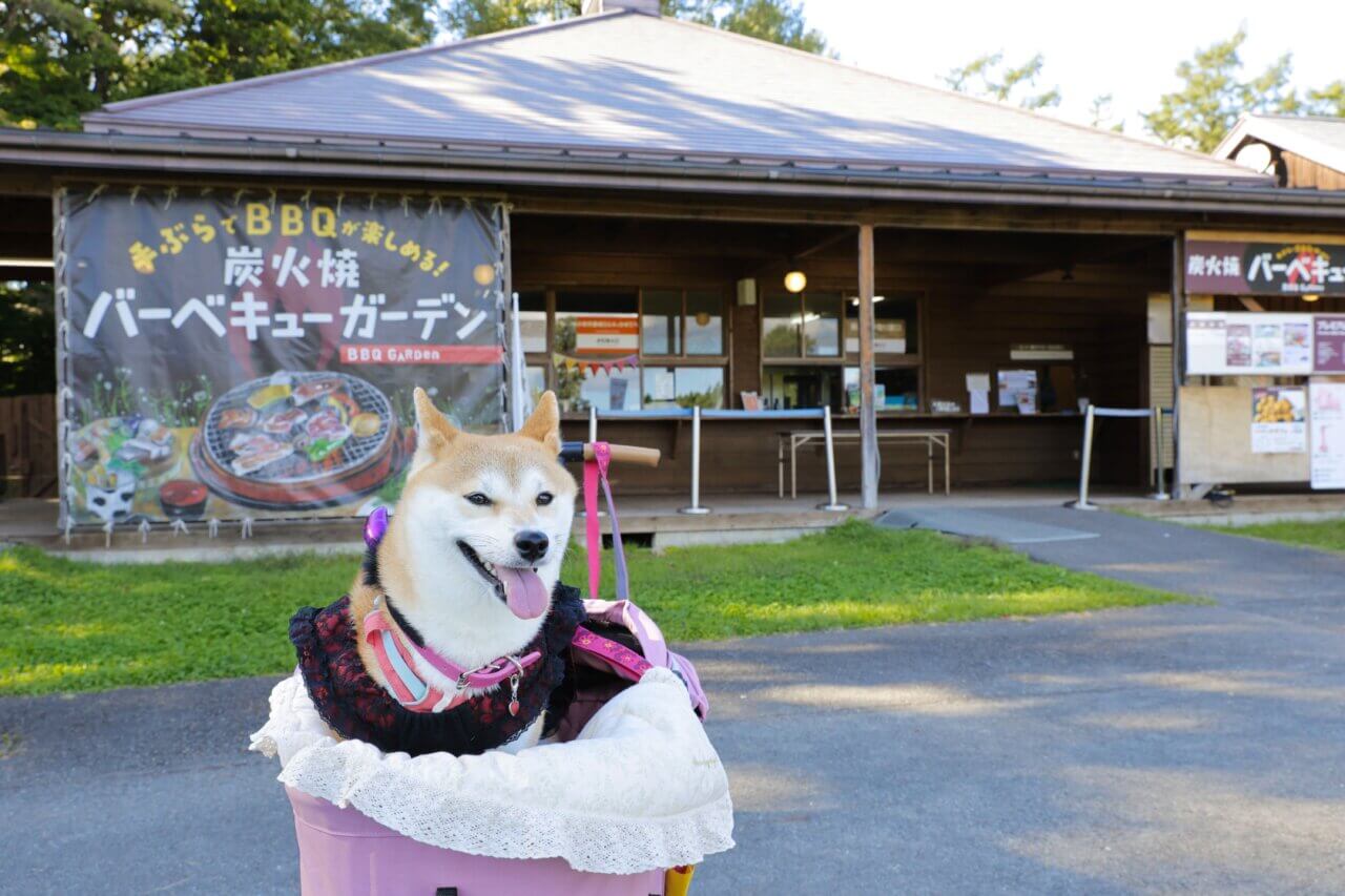【岩手県・犬同伴OK】炭火焼BBQガーデン(小岩井農場)｜手ぶらで本格的なバーベキューが楽しめる屋外レストラン