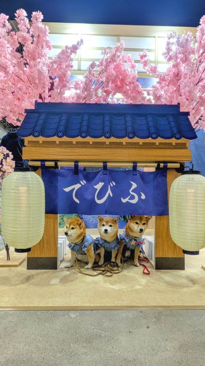 【東京都・犬同伴OK】インターペット東京｜日本最大級のペットイベントで、愛犬と一緒に楽しめる商品やサービスが集まる場所