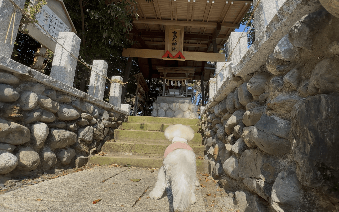 【静岡県・犬同伴OK】 伊勢湾フェリーで静岡へ｜富士山の絶景、ペット同伴可能な施設が多く、愛犬との思い出作りに最適！