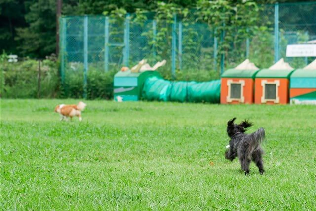 国営武蔵丘陵森林公園［滑川町］