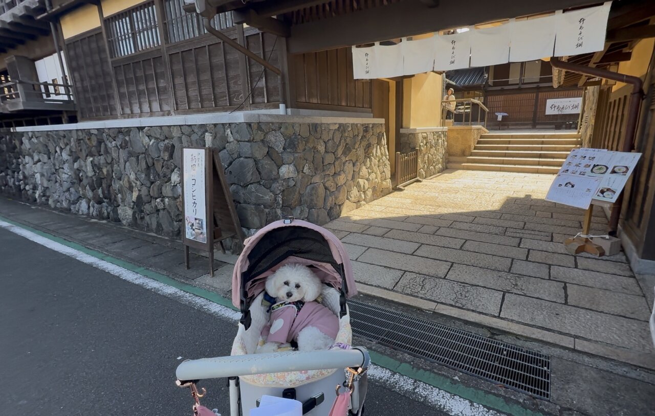 【三重県・犬同伴OK】伊勢・おかげ横丁｜江戸時代の雰囲気を再現した観光地、地元の名物料理やお土産を楽しめる！