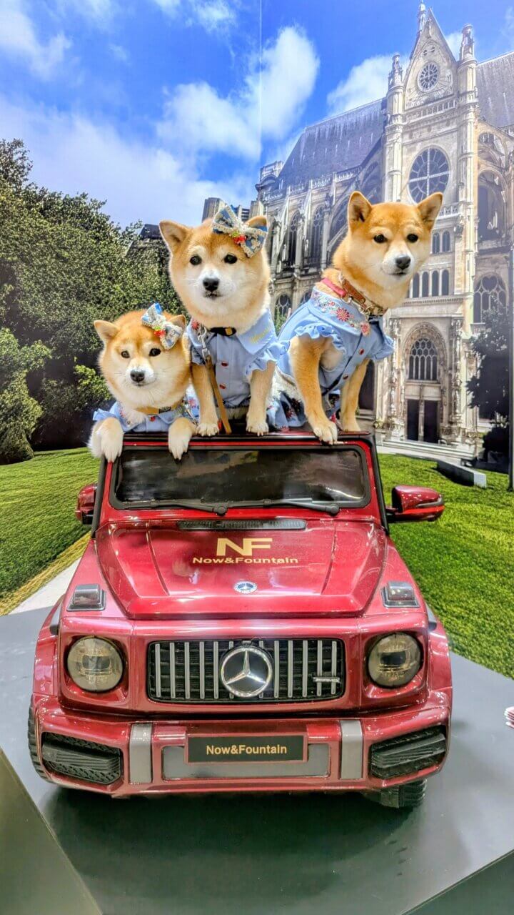 【東京都・犬同伴OK】インターペット東京｜日本最大級のペットイベントで、愛犬と一緒に楽しめる商品やサービスが集まる場所