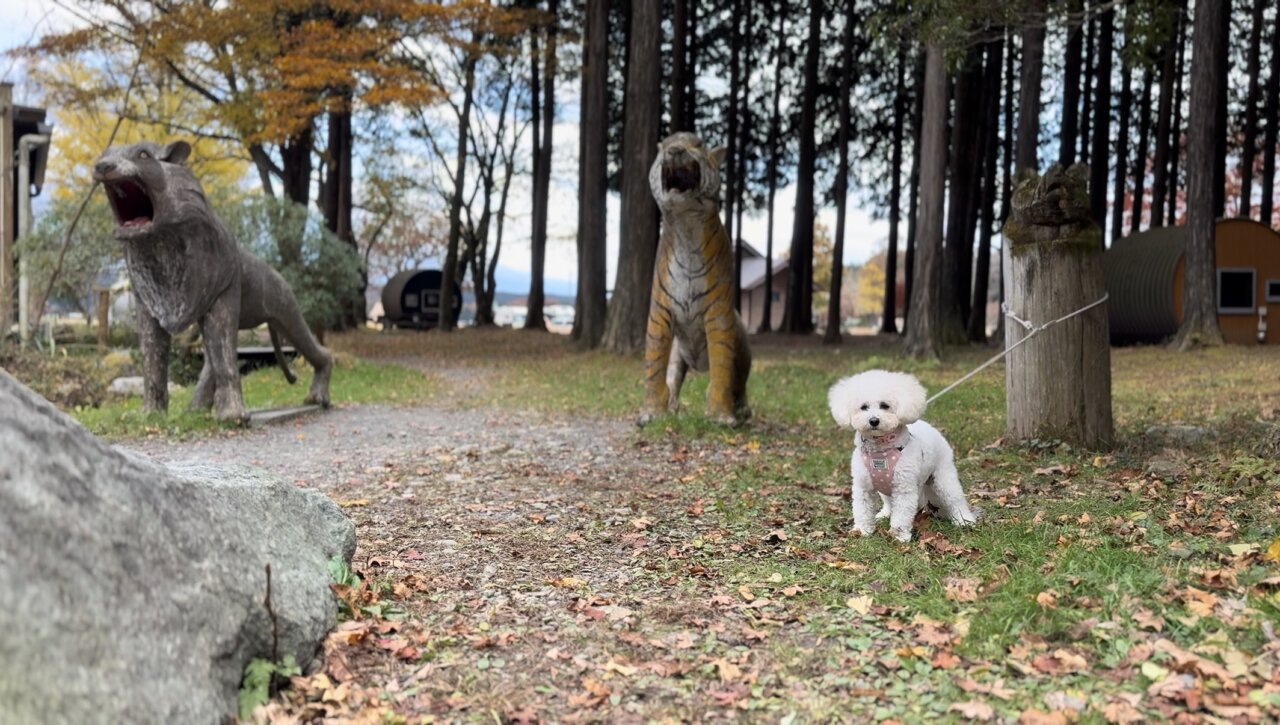 【静岡県・犬同伴OK】ふもとっぱらキャンプ場｜富士山を背景に愛犬と自由に楽しむキャンプ場