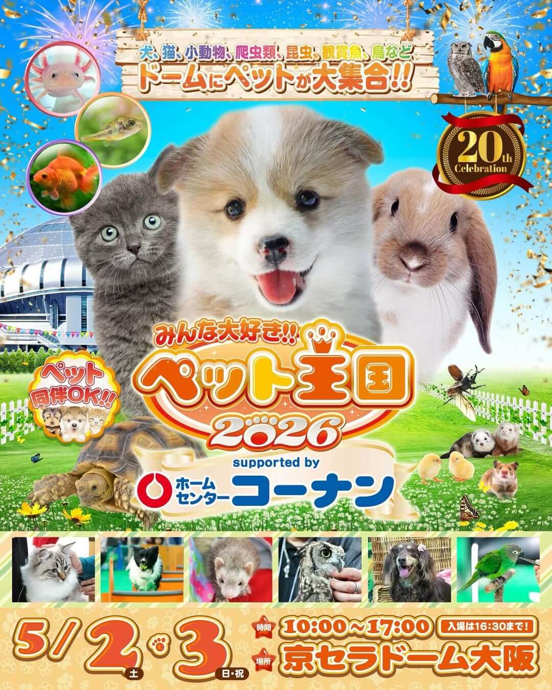 【大阪】みんな大好き‼︎ #ペット王国2026