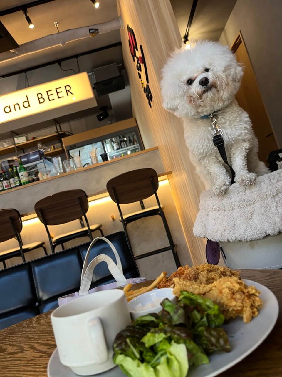 【東京都・犬同伴OK】ごごチキン 浅草本店｜愛犬と一緒に楽しめる韓国料理店で、カジュアルな雰囲気の中で美味しいチキンを味わえる！