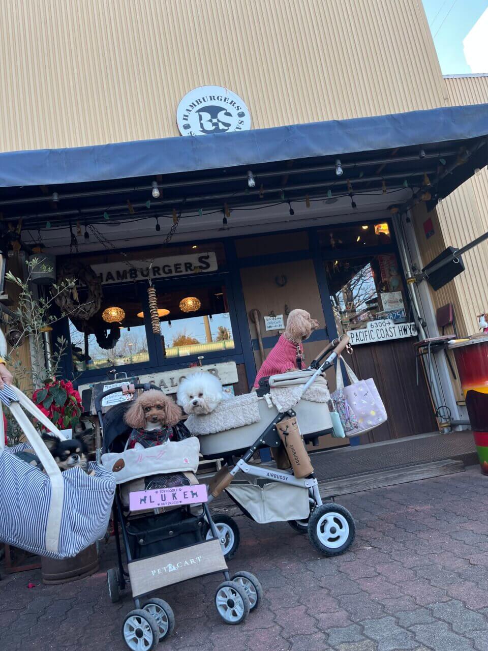 【千葉県・犬同伴OK】アールズ｜和牛100%のジューシーなパティを使用した「リアルバーガー」が評判で、ボリューム満点の美味しさ