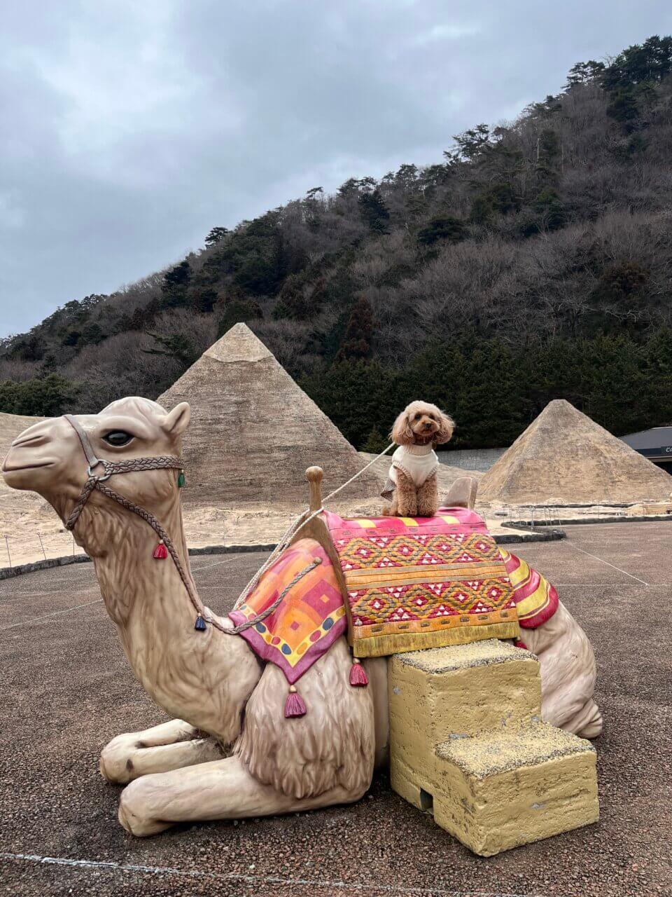 【栃木県・犬同伴OK】東武ワールドスクウェア｜世界の有名建築物を25分の1スケールで再現したテーマパーク