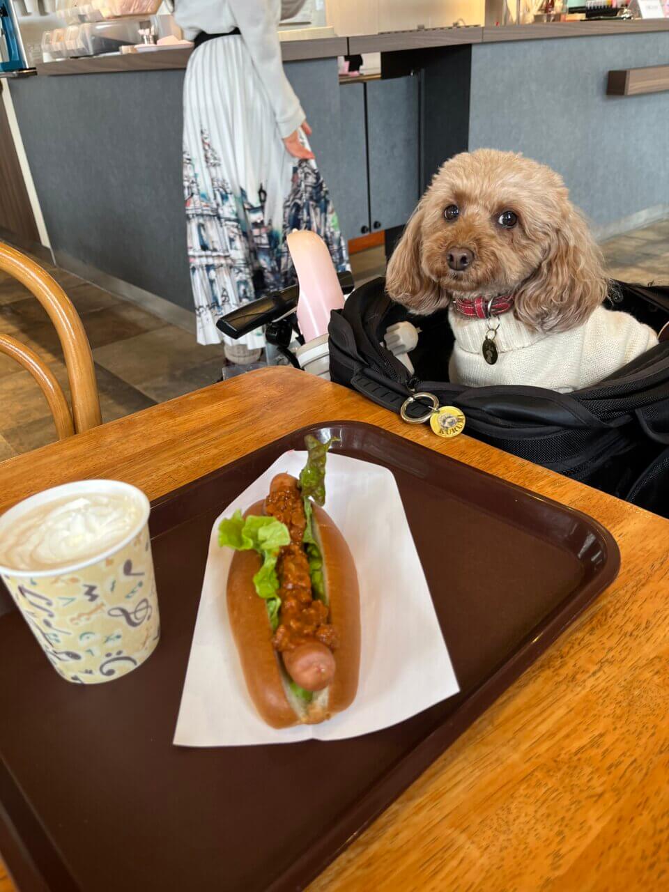 【栃木県・犬同伴OK】東武ワールドスクウェア｜世界の有名建築物を25分の1スケールで再現したテーマパーク