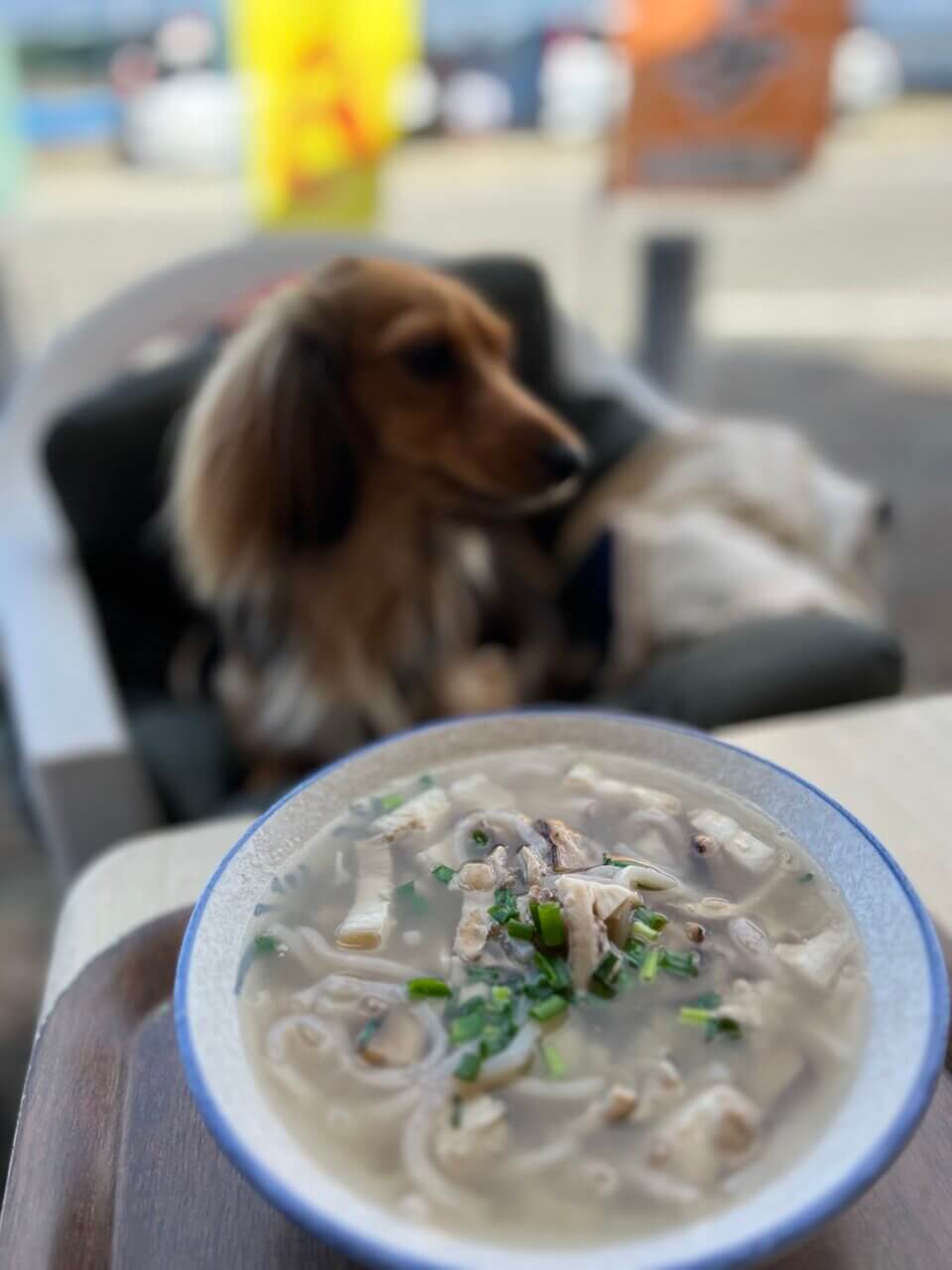 【沖縄県・犬同伴OK】丸吉食品｜愛犬と家庭的な雰囲気の中で、揚げたてのもずく料理を楽しめる