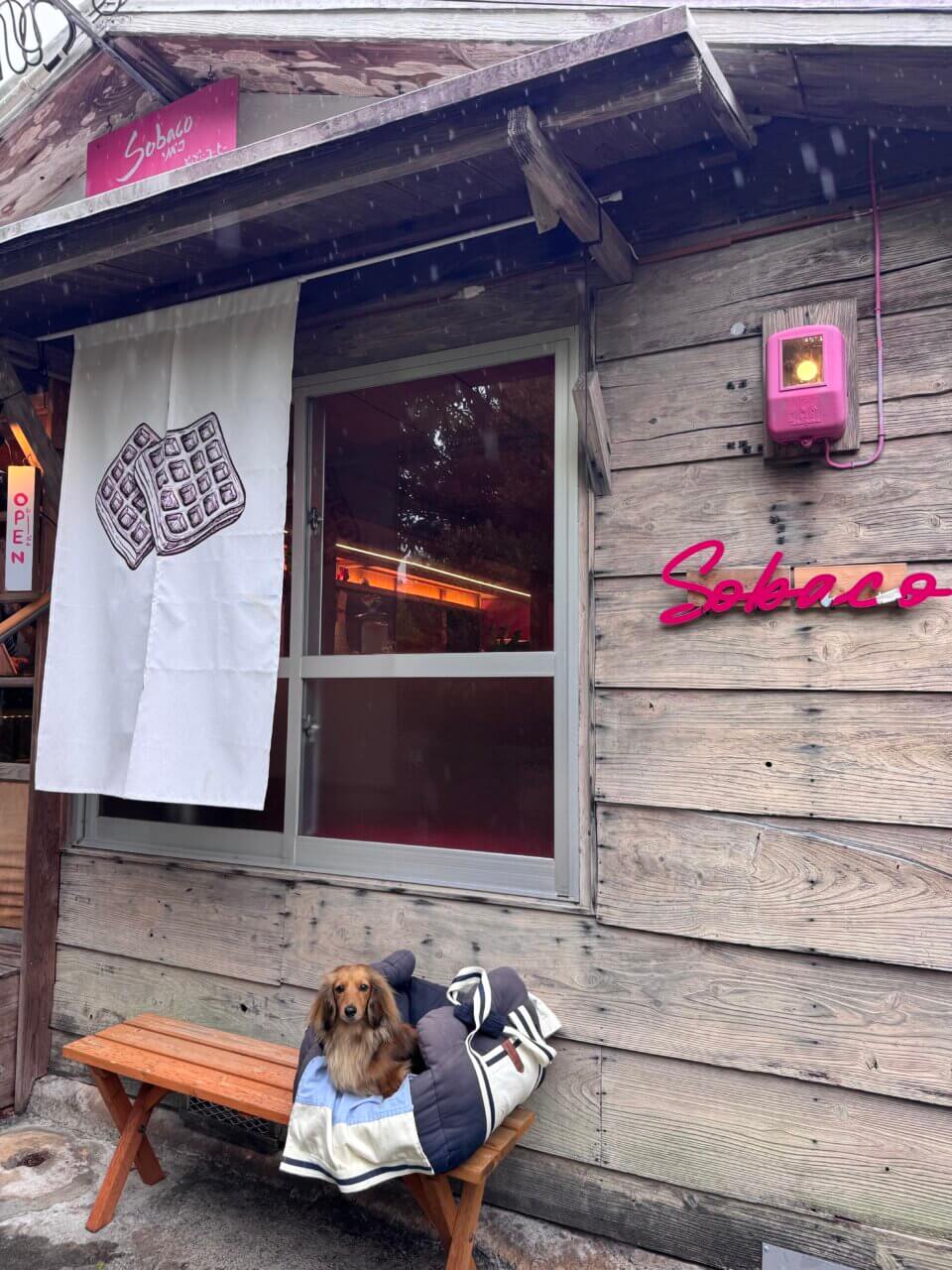 【沖縄県・犬同伴OK】Sobaco｜愛犬と一緒に楽しめる、居心地の良い古民家カフェ