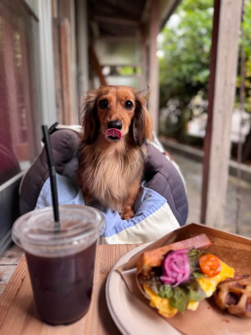 【沖縄県・犬同伴OK】Sobaco｜愛犬と一緒に楽しめる、居心地の良い古民家カフェ