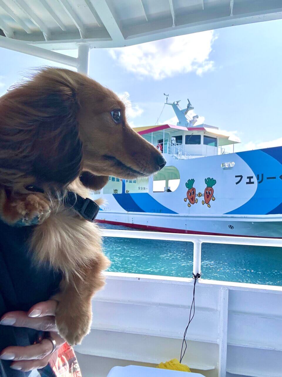 【沖縄県・犬同伴OK】津堅島｜犬と静かに海を満喫できる癒しの離島
