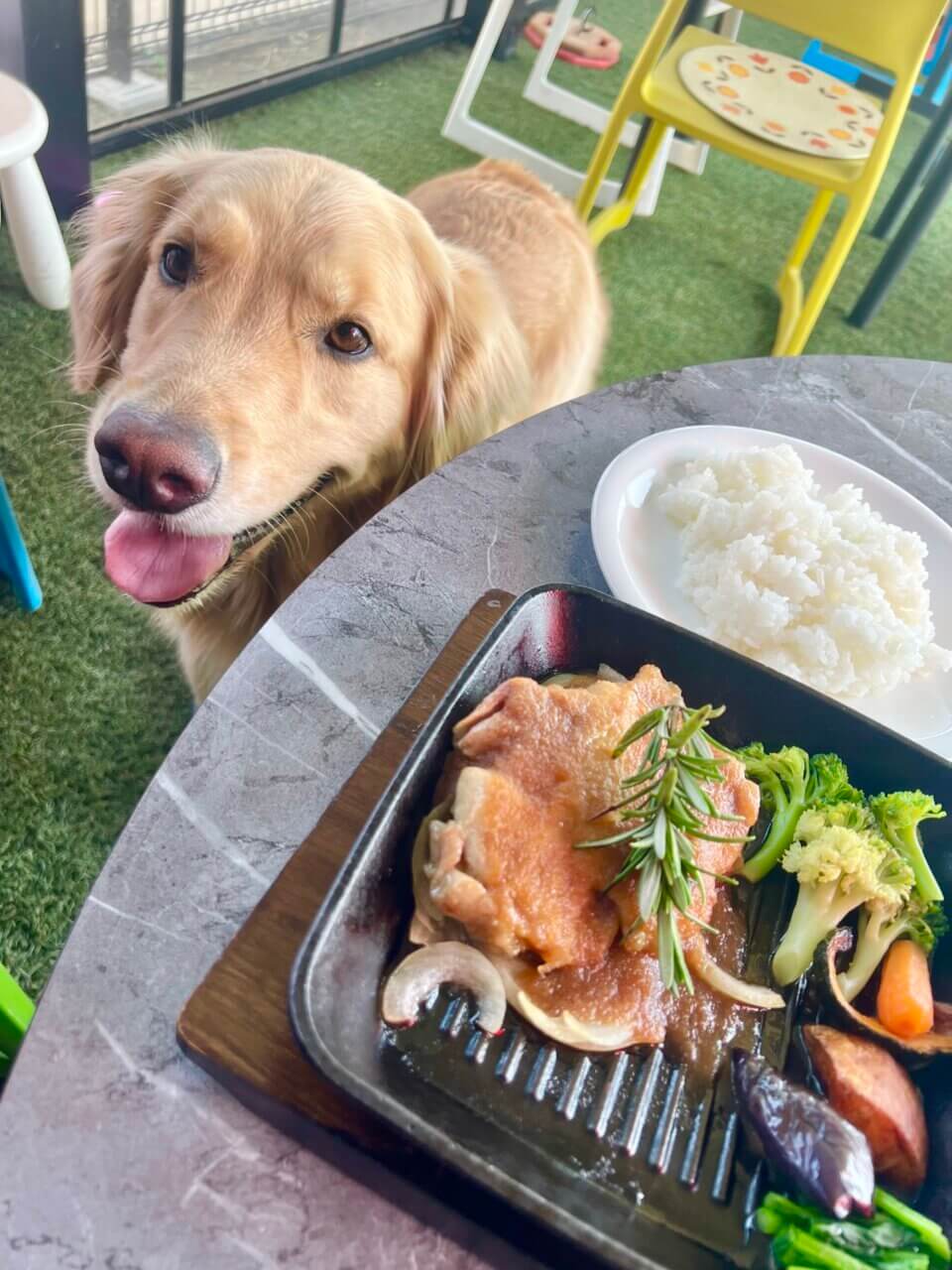 【長野県・犬同伴OK】ALUN－ALUN｜犬連れや子連れに優しいカフェで、天然芝のドッグランや子供用遊具が完備！