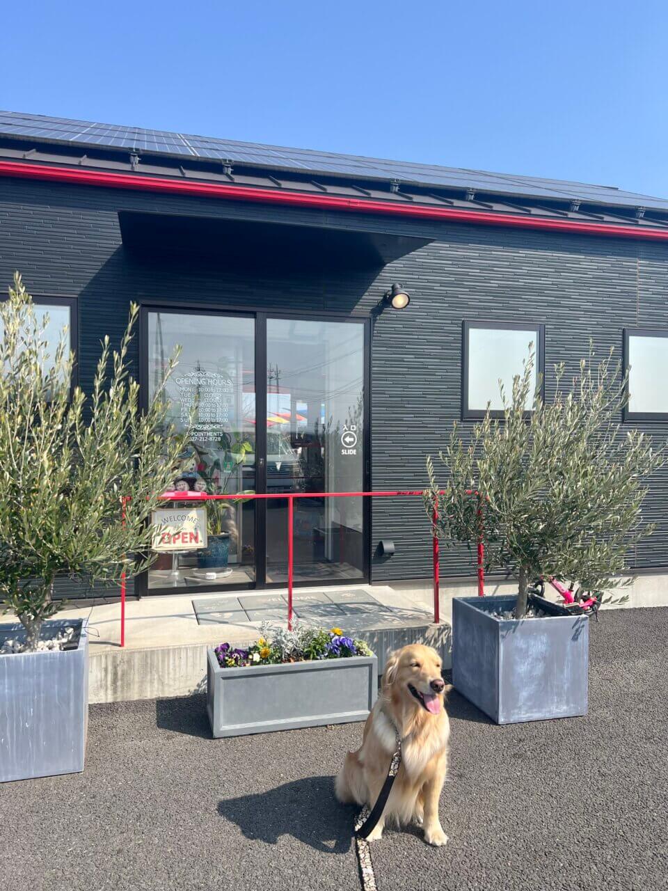 【長野県・犬同伴OK】ALUN－ALUN｜犬連れや子連れに優しいカフェで、天然芝のドッグランや子供用遊具が完備！