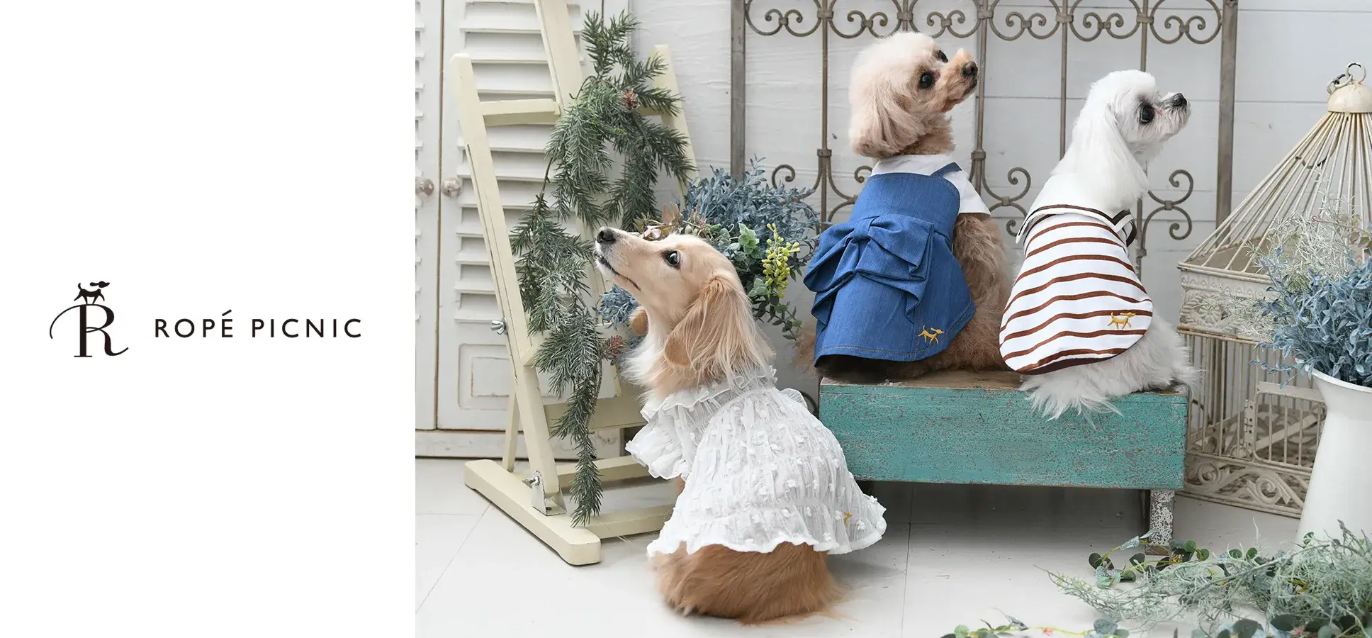 ROPE' PICNIC DOG（ロペ ピクニック ドッグ）｜フレンチカジュアルなトレンド服。接触冷感など機能性もバッチリ。