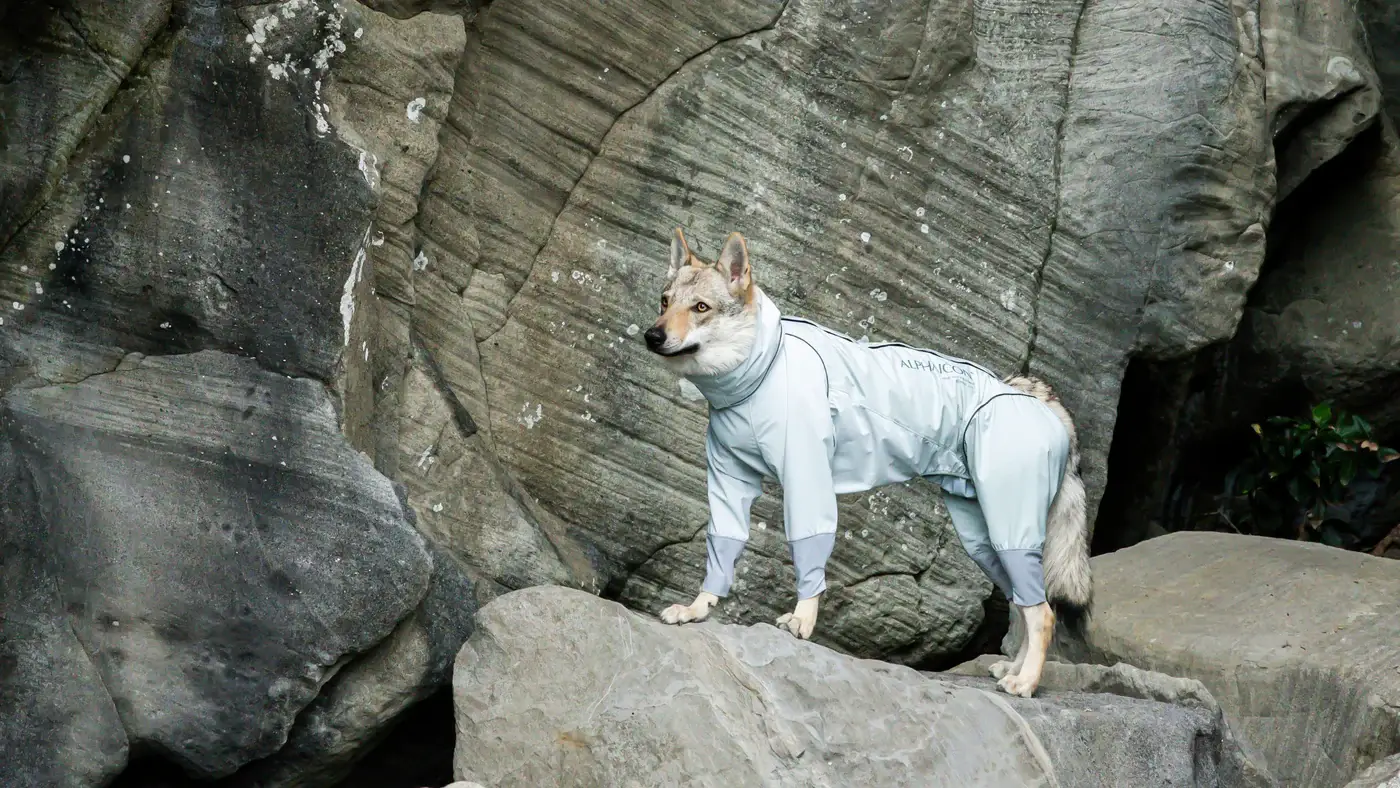 ALPHAICON（アルファアイコン）｜究極の多機能ウェア。雨の日やアウトドアの救世主。