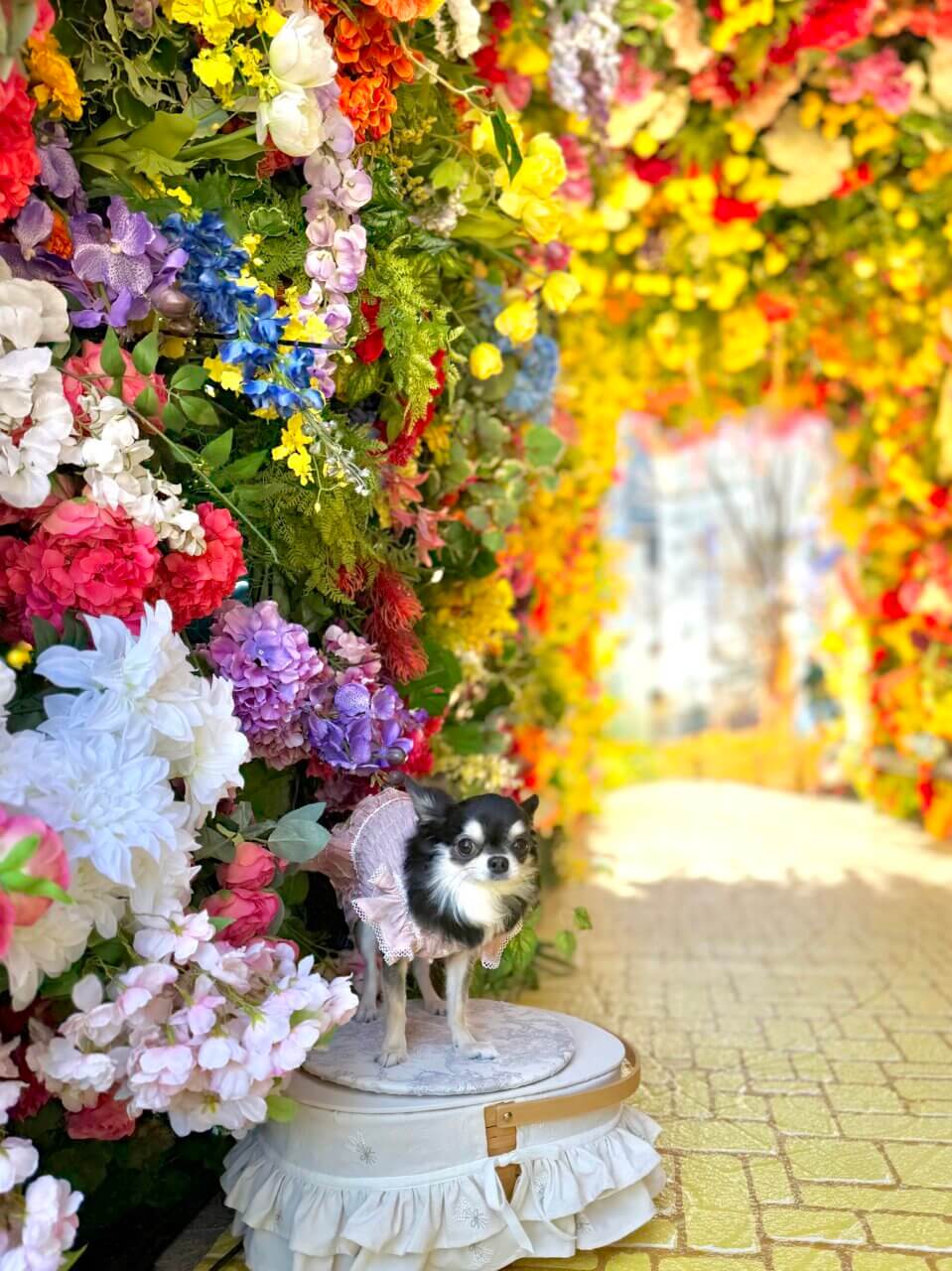 【東京都・犬同伴OK】東京ミッドタウン日比谷　HIBIYA BLOSSOM｜四季折々の自然や歴史的な景観を楽しめる「都会のオアシス」