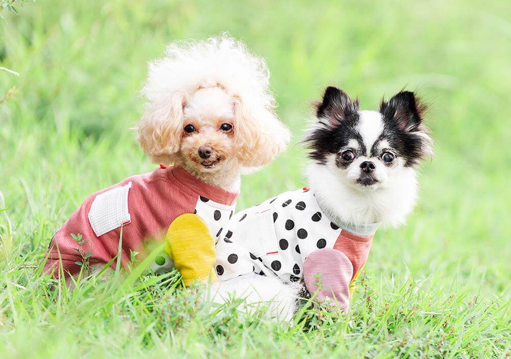 RADICA（ラディカ）｜カジュアルでこなれ感抜群。多頭飼いコーデも得意！