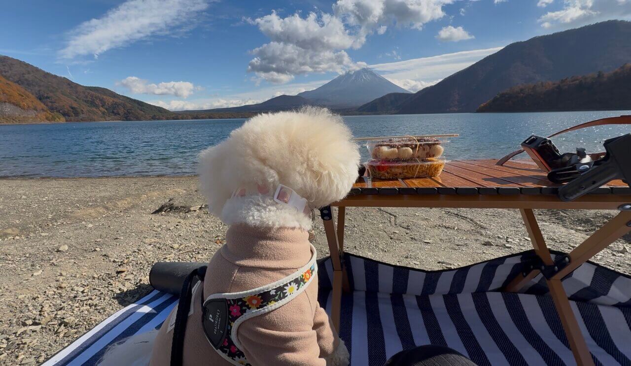 【山梨県・犬同伴OK】浩庵キャンプ場｜富士山と湖の絶景を愛犬と共に楽しむキャンプ場