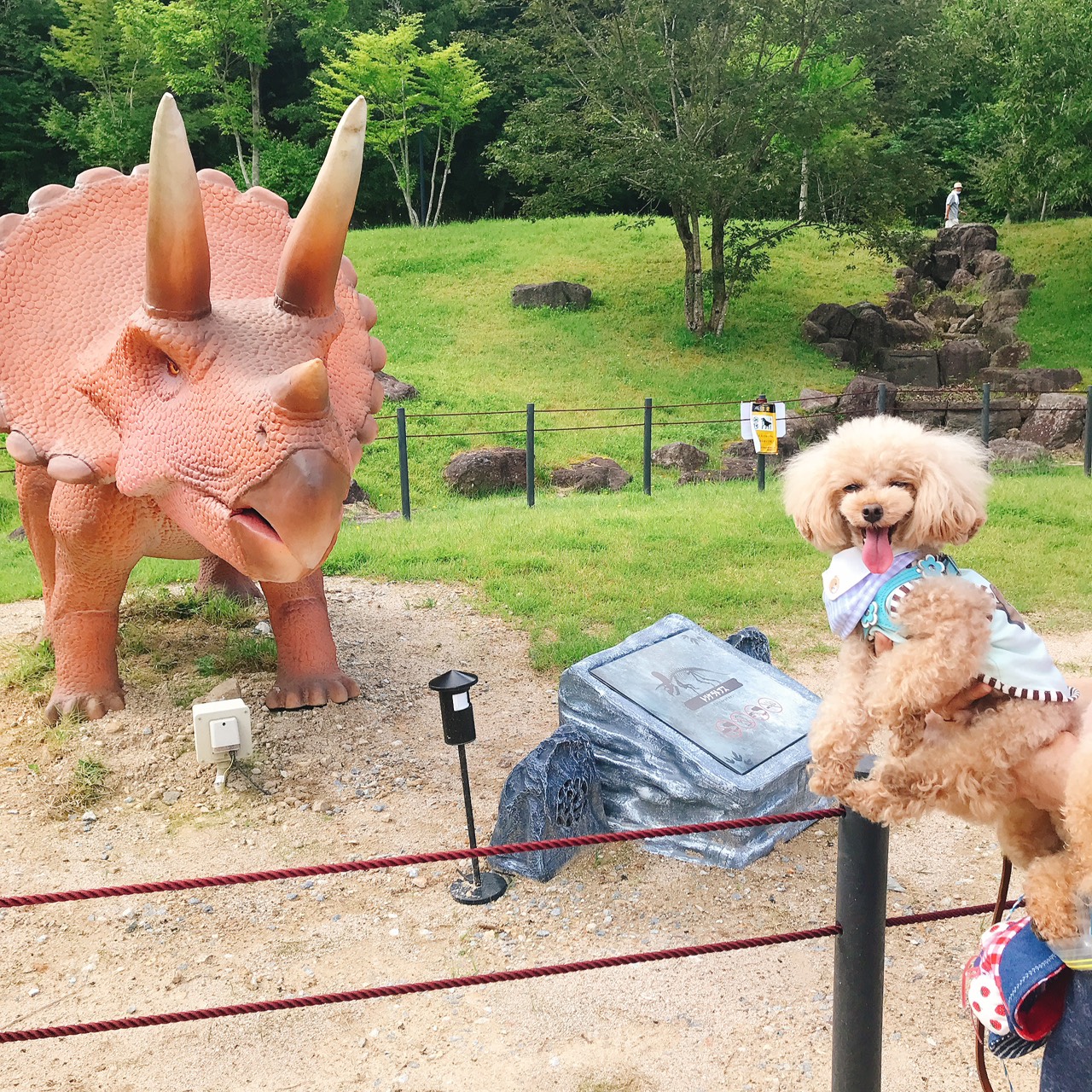 【兵庫県・犬同伴OK】丹波並木道中央公園｜広大な自然の中で家族や愛犬と楽しめる、無料のレクリエーションスポット